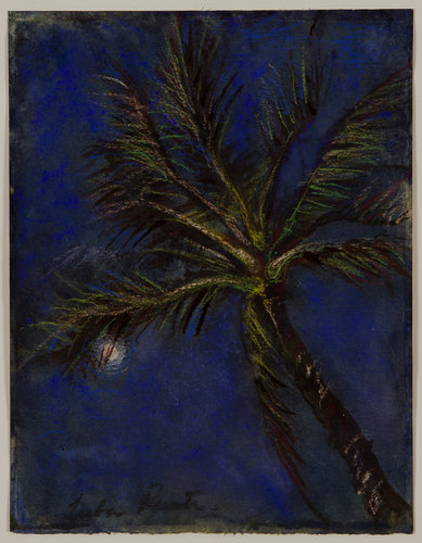 Florida Postcards #10